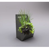 Patience Indoor / Outdoor Planter