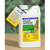 Monterey Bug & Pest Control