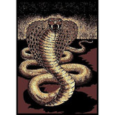 African Adventure Cobra Novelty Rug