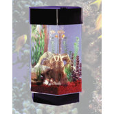 AquaScape 8 Gallon Hexagon Aquarium