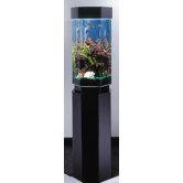 AquaScape 15 Gallon Hexagon Aquarium