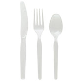 Disposable Utensils
