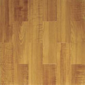 Paramount 16" x 16" Vinyl Woodtone Traditional Tiles (Set of 6)