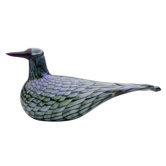 Toikka Rusee Grebe