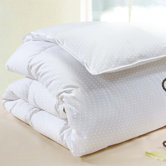 Polka Dot Cotton Down Comforter in White