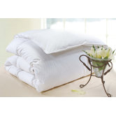 Polka Dot Cotton Fill Power Down Comforter