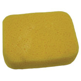 Large Sponge DS4001