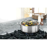 Triply Stainless Steel 5 Quart Dutch Oven