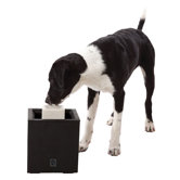 Dogit Design Alfresco Outdoor Pet Drinking Fountain - 338 oz.