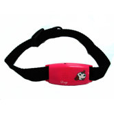 Pet Tag Classic No Bark Small Collar in Red