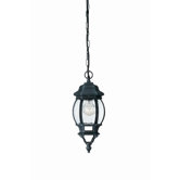 Dubrovnik One Light Outdoor Hanging Lantern in Brushed Green