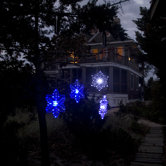 Outdoor Transitioning LED Snowflake Light (Set of 2)