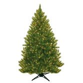 Evergreen Fir Prelit Christmas Tree with 450 Clear Lights