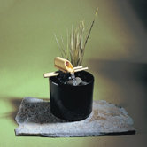 Ceramic Solo Small Water Fountain in Black