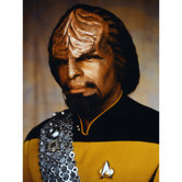 Star Trek Lieutenant Worf Wall Art