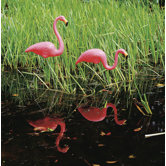 Don Featherstone Flamingos Statue