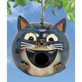 Cat Bird House