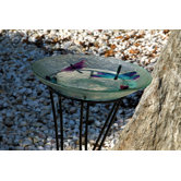 Dragonfly Bird Bath in Glass
