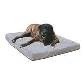 4" BioMedic Memory Foam Dog Bed
