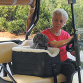 Lookout Golf Cart Pet Carrier