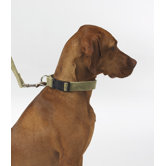 Dog Leash
