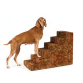 Designer Pet Steps