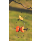 Fruit Spear / Ceramic Bird Feeder