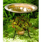 Copper plated Steel Birdbath