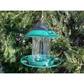 EZ Fill Sunflower / Safflower Bird Feeder