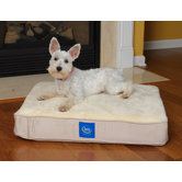 True Response Memory Foam Dog Bed in Cream