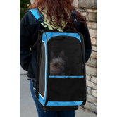 Two Tone Travel System
