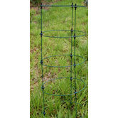 Metal Tomato and Plant Grow Cage