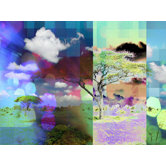 Bright Lights Wall Art