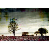 Twilight Sleep Wall Art