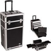 Professional Rolling Makeup Train Case