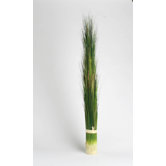 Onion Grass Bundle