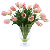 Tulip in Glass Vase