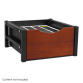 Double Drawer Flipper Cabinet Organizer