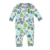Owls Boy's Playsuit in Sky