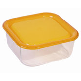 Igloo Glass Food Storage Container