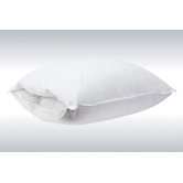 Removable Interchangeable Core Pillow