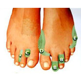 Bunion Protectors (D) (Set of 2)