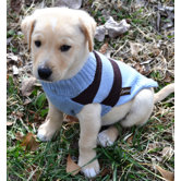 Rugby Dog Sweater
