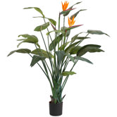 60" Artificial Strelitzia Bird of Paradise Plant