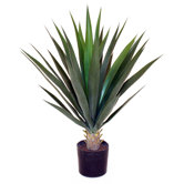 Artificial Yucca Plant