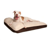 Serenity Memory Foam Dog Bed