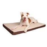 Orthopedic Dog Beds