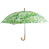 Elm Umbrella