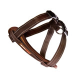Chest Plate Harness in Chocolate