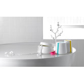 Cammeo Container